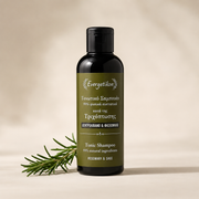 Rosmarin Shampoo Evergetikon – Natürlich & Silikonfrei
